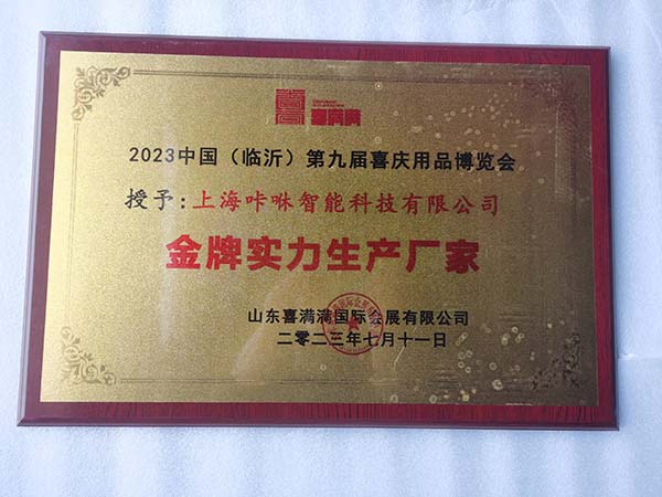 Linyi 2023 Certificate